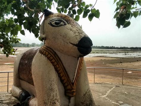 Dhamtari Tourism (2021): Best of Dhamtari, India - Tripadvisor