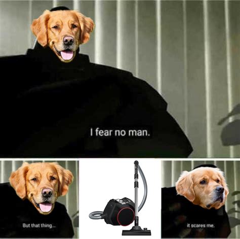Scared Dog Meme