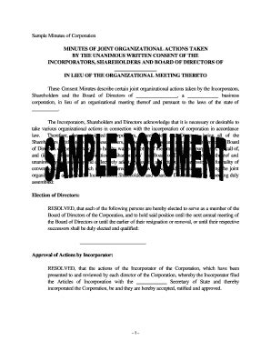 Sample Organizational Meeting Minutes Forms and Templates - Fillable ...