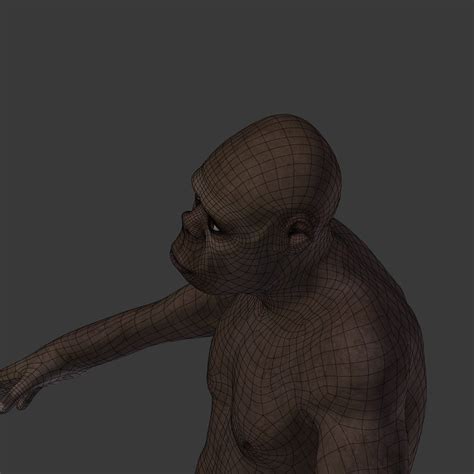 Image result for Australopithecus Simulation