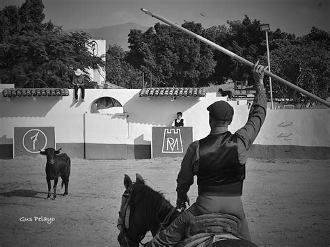 Roca Rey se pone a punto en el campo bravo de Jalisco de cara a su ...