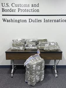 Dulles CBP Intercepts 53-Pound Marijuana Load Destined to Paris, MWAA ...