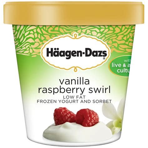 Haagen-Dazs Vanilla Raspberry Swirl Low Fat Frozen Yogurt (14 fl oz ...