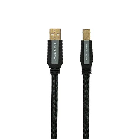 Pangea Premier SE MkII USB Cable A to B Digital Interconnect Cable 1.00 ...