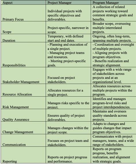 Image result for Program vs Project Manager