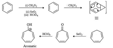 Nitrenes and Carbenes: Stability and Reactions - Organic Chemistry PDF ...