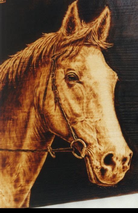 Image result for Pyrography Animals