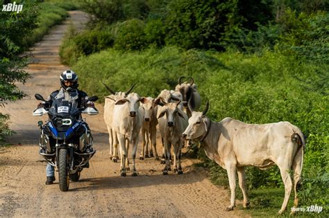 R1250GS Adventure 的图像结果