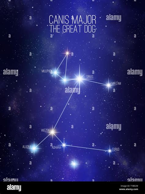 Canis Major Constellation