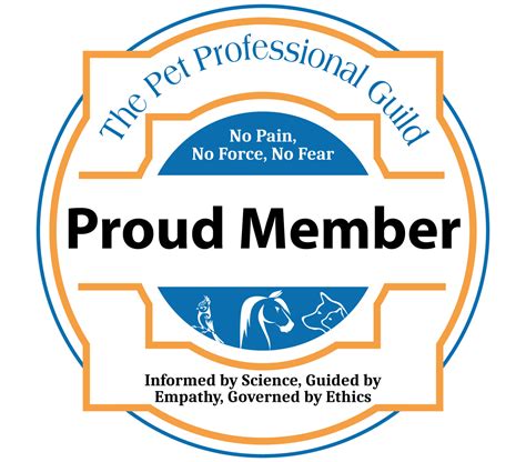 21 Spanish Dog Commands to Teach your Pet