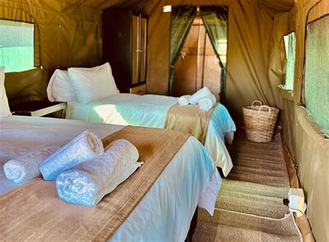 TLOU SAFARI TENTED CAMP (Saulspoort) - Campground Reviews & Photos ...