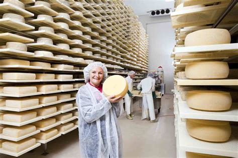 Image result for Cheese Manufacturing