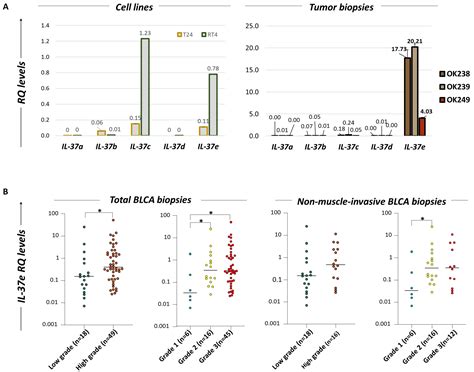 Deregulated Expression of IL-37 in Patients with Bladder Urothelial ...