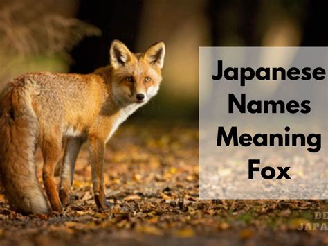 30 Japanese Names Meaning Peace – Japan Truly