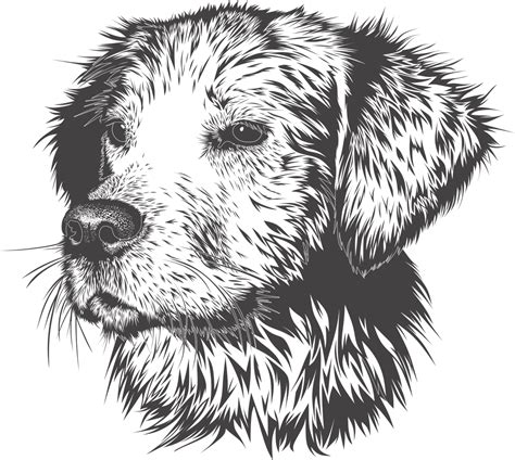 Explore 10,831+ Free Dogs Vertical Illustrations: Download Now - Pixabay
