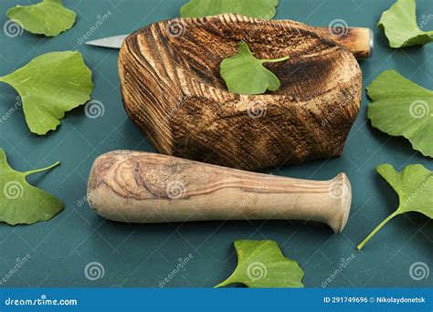 Ginkgo Biloba Leaves, Medicines Stock Photo - Image of gingko, chinese: 291749696