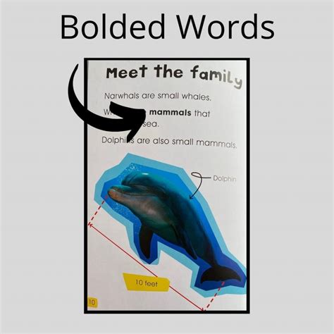 What are Text Features? How to Teach Them to Kids - 4 Kinder Teachers