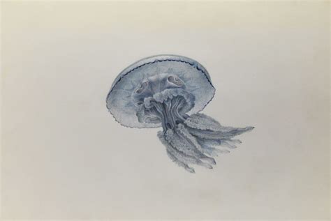 No tariffs on vintage. The turbine crisis. Hayek's bastards and Blue Jerusalem.