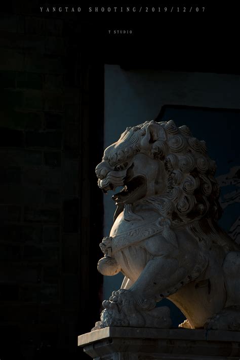 颐和园的石狮特写石狮图片下载 - 觅知网