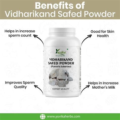 Yuvika Vidharikand Safed Powder - Bidharkand Safed - Puerariatuberosa ...