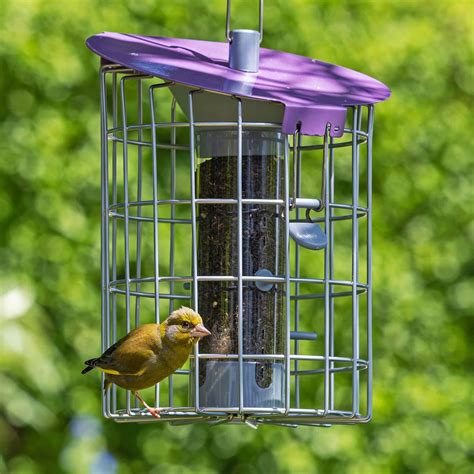 Niger Bird Seed Feeder | Nyjer Seed Feeder | Living With Birds