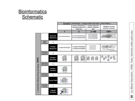 Image result for Introduction to Bioinformatics
