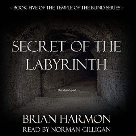 Secret of the Labyrinth: The Temple of the Blind, Book Five (Audio ...
