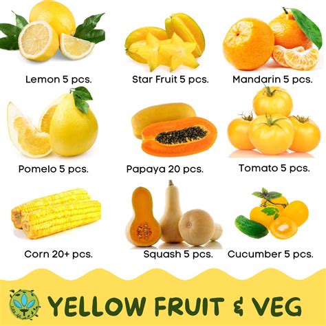 Yellow Vegetables Names