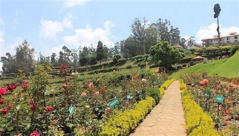 Tourist Places Near Coimbatore For A Smooth Trip In 2026