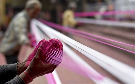 Safe Sankranthi: How Chinese manjha is killing birds and wild animals ...