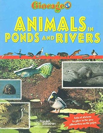 Animals in the Ponds and Rivers : Giocageo: Amazon.in: Books