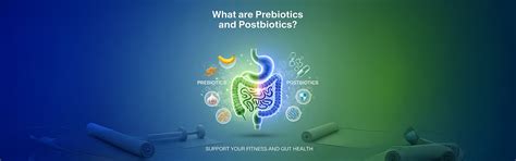 What are Prebiotics and Postbiotics? How Do They Support Your Fitness ...