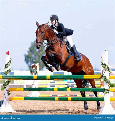 What Is An Equestrian Sport at Juan Harrell blog