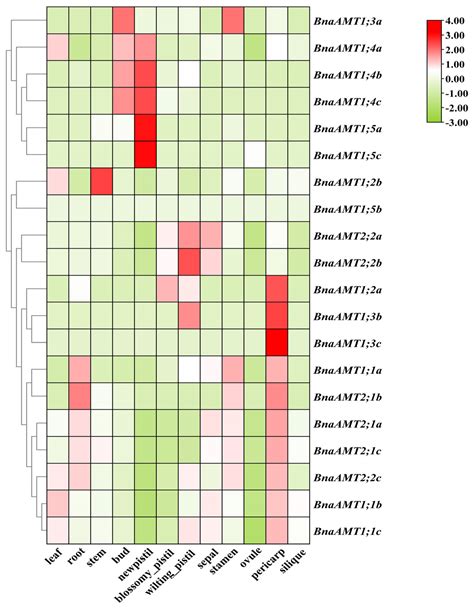 Genome-Wide Identification and Characterization of Ammonium Transporter ...