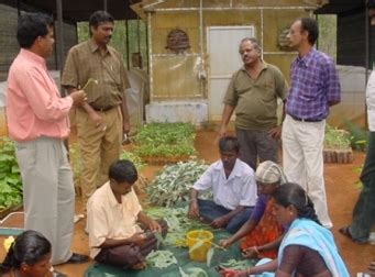 Forestry :: Industrial Pulpwood