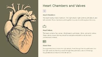 Image result for Nearpod Lesson Code Cardiovascular System