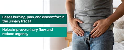 Herbal Prostate Wellness Capsule | Life Aveda Prosta Care Ayurvedic ...