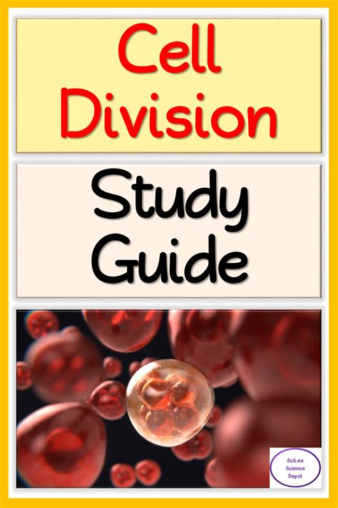 Image result for Divison Study Guide