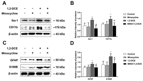 Roles of Crosstalk between Astrocytes and Microglia in Triggering ...