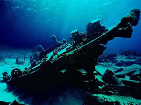 Su Altı Dünyası Resimleri - Sayfa 22