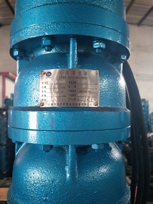 QZBQHB-潜水轴流泵悬吊式600QZ-160 电气安装-德能泵业（天津）有限公司
