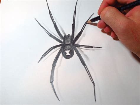 Scary Spider Drawing at GetDrawings | Free download