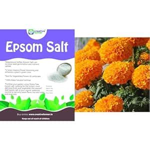 Creative Farmer Epsom Salt 2Kg For Plants,Gardening Magnesium Sulfate ...