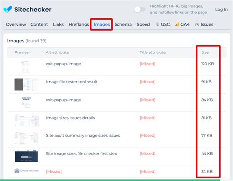 Image File Size Checker | Check Website Image Optimization ☑
