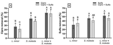 Synergistic Removal of Ciprofloxacin and Sulfamethoxazole by Lemna ...