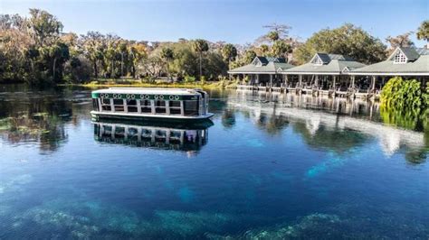 Ocala, Florida: Outdoors, Equestrian Events & Culture | Visit The USA