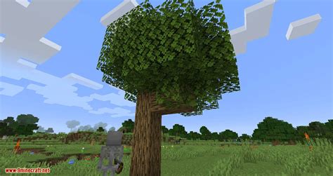Image result for Tree Mod