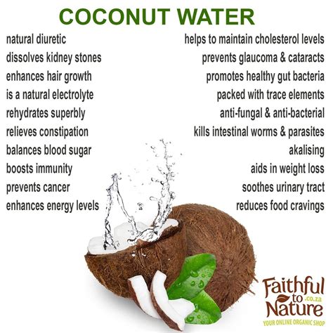 How Healthy Is Coconut Water For You - Healthy Food
