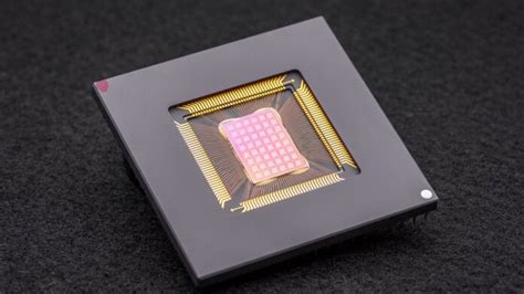 Primal Behavior Chip 的图像结果