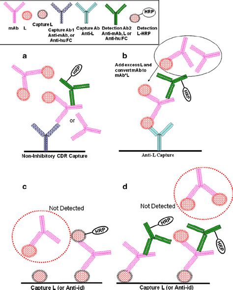 Image result for Elisa Method